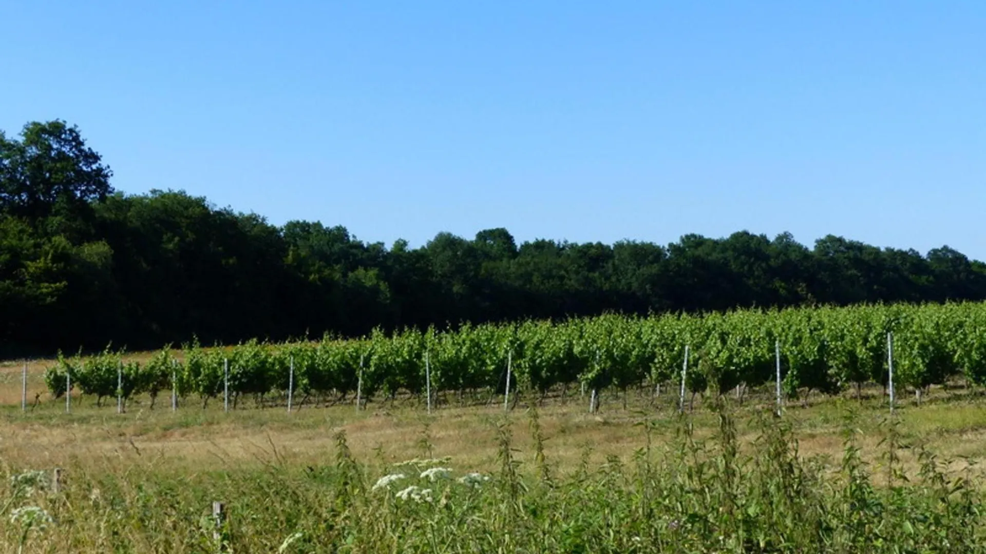 Holiday home Gites Proches Vignoble, Deco Cosy, Terrasse, Activites Familiales Et Nature - Tout Inclus - Fr-1-489-235 Meillard
